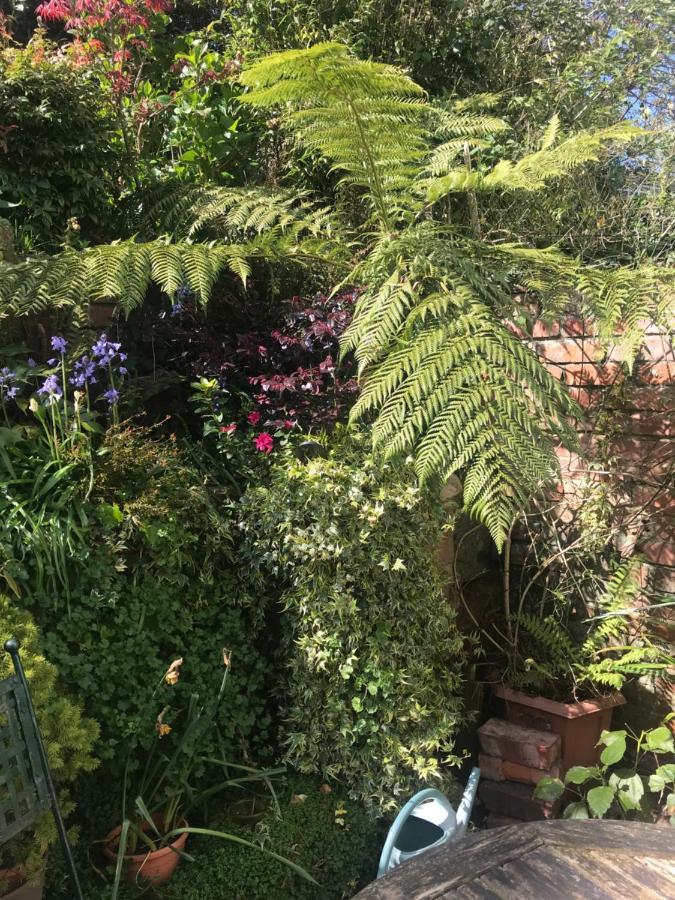 1920'S House. Private En Suite Sitting Room . Dog Friendly Teignmouth Exteriér fotografie